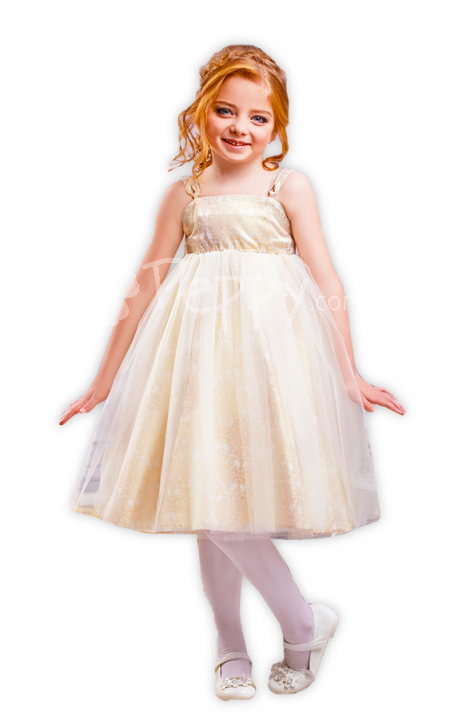 Детское нарядное платье Zironka  для девочки
