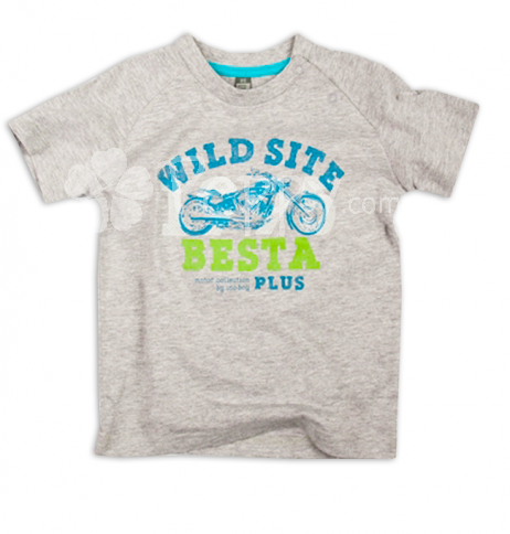 Детская  футболка  Besta Plus для мальчика
